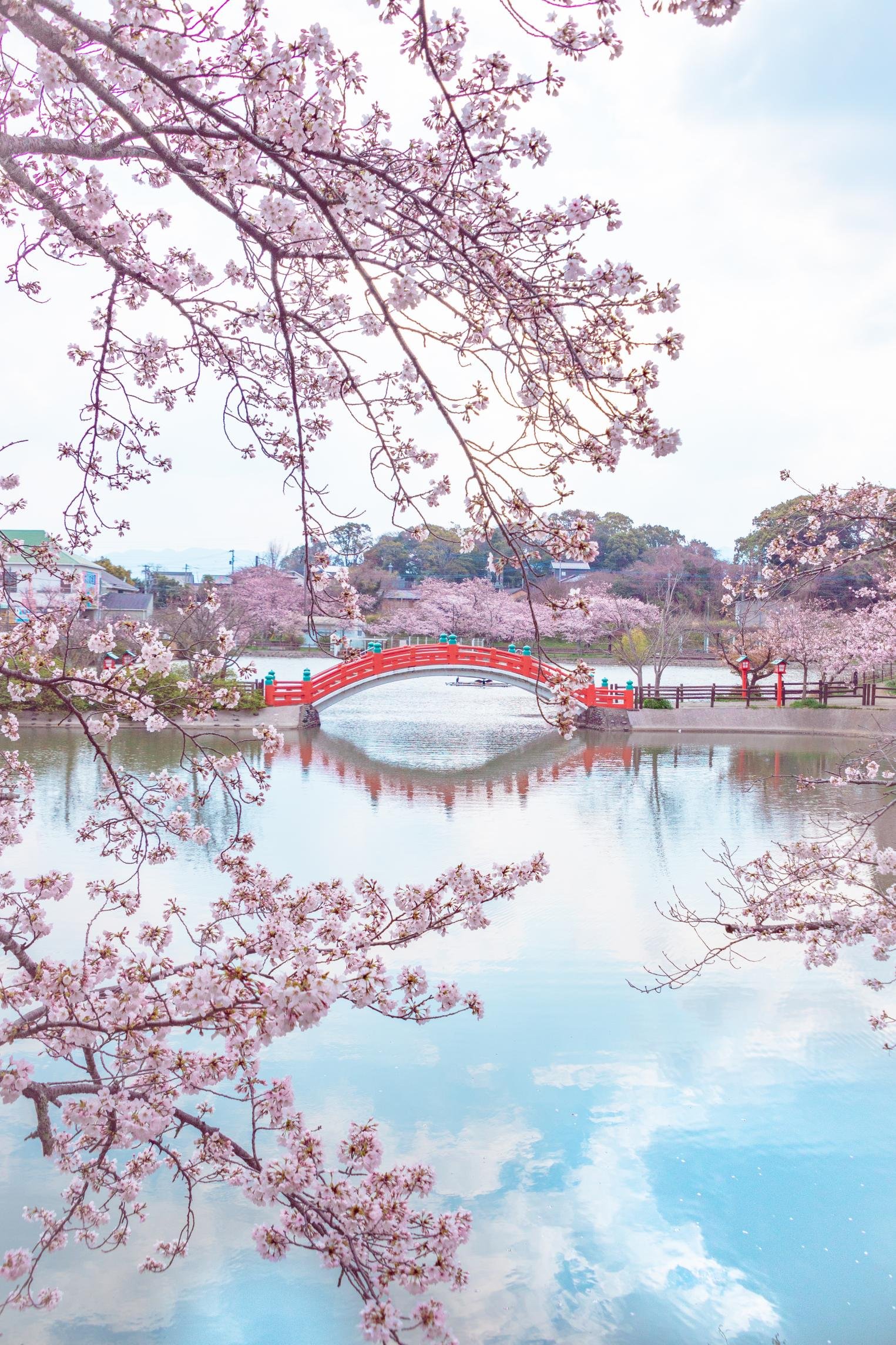 🌳 하부 공원(하부 코엔) 이미지 4